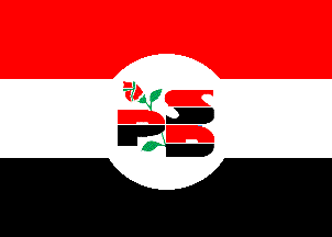 [Flag of PSDSH]